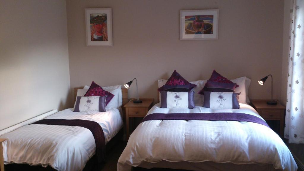 Roundstone Retreats Islandview Bed & Breakfast 部屋 写真